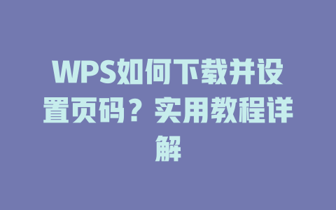 WPS如何下载并设置页码？实用教程详解 一