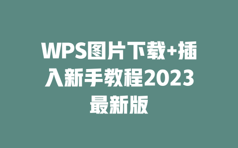 WPS图片下载+插入新手教程2023最新版 一